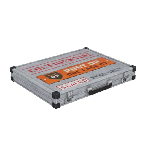 Document case