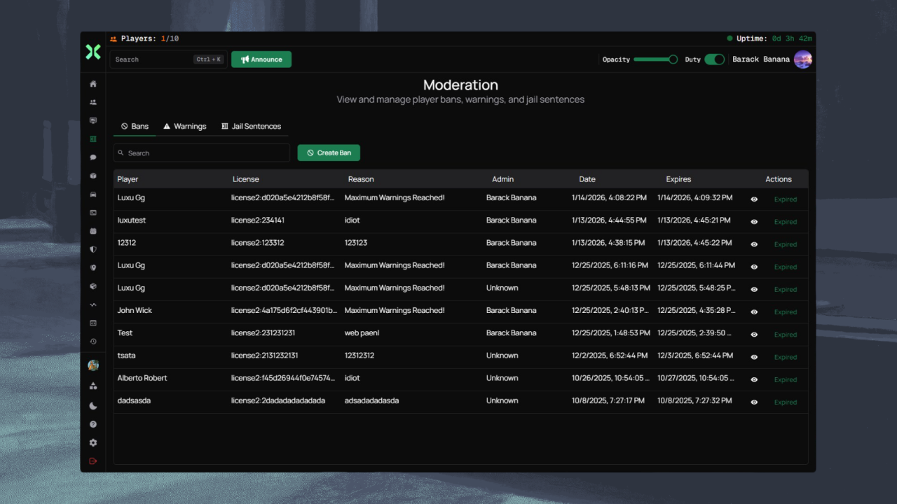 Placeholder screenshot for moderation logs with ban history and staff actions